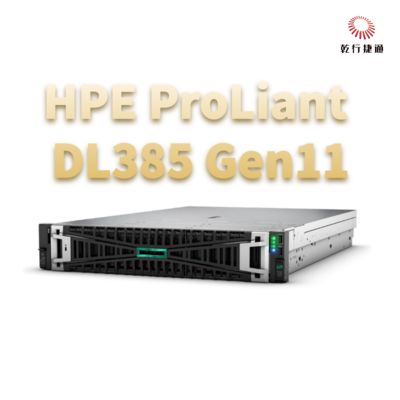 HPE ProLiant DL385 Gen11 خادم تخزين الرف الآمن والقوي للتحول الرقمي، خادم تخزين البيانات